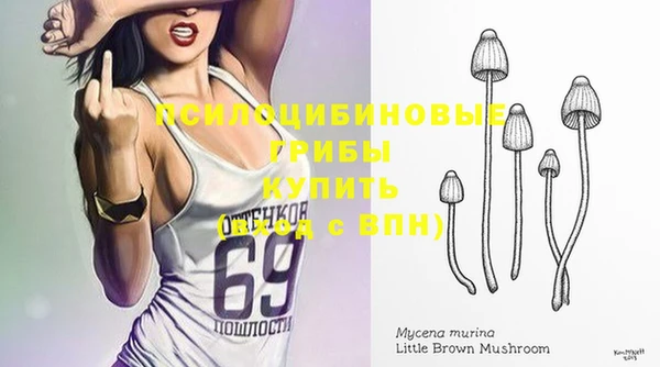 спиды Верхний Тагил