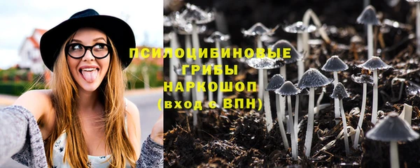 ПСИЛОЦИБИНОВЫЕ ГРИБЫ Бородино