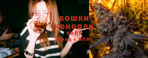 ПСИЛОЦИБИНОВЫЕ ГРИБЫ Бородино
